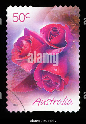 Australien - CIRCA 2005: Eine Briefmarke gedruckt in Australien zeigt Rose, ca. 2005 Stockfoto