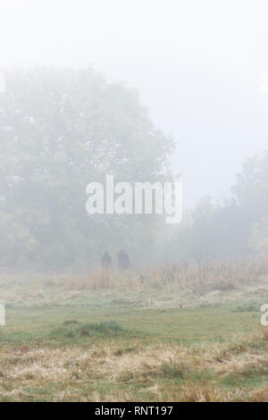 Zwei weit entfernte Zahlen eingehüllt in Nebel, gehen über ein Land, Wiese Stockfoto