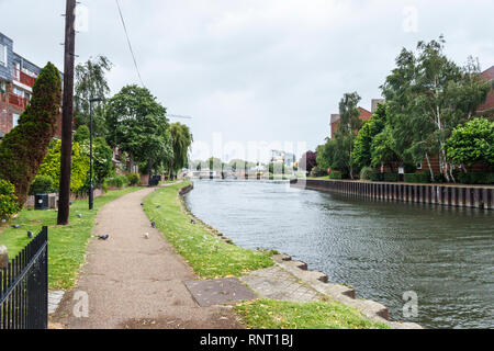 Den Fluss Lea in Tottenham, London, UK, Blick nach Norden, Ferry Lane Bridge im Hintergrund Stockfoto