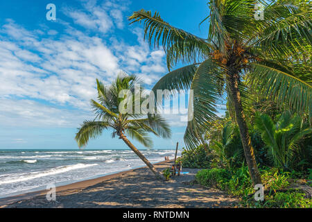 Menschen liegen am Strand entlang der Karibik mit Palmen in Tortuguero, Costa Rica. Stockfoto