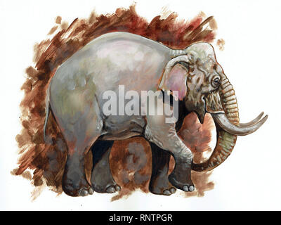Elefantenillustriert. Tiermalerei. Altes Elefantenportrait. Stockfoto