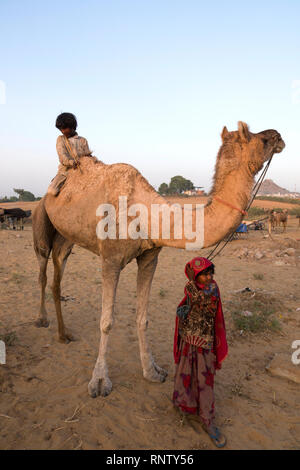 Raika nomad Kinder und Kamel in Pushkar Camel Fair in Rajasthan, Indien Stockfoto