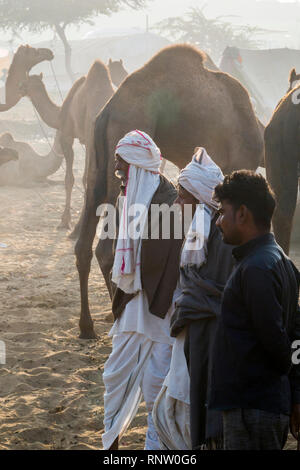 Raika Hirten und ihre Kamele in Pushkar Camel Fair in Rajasthan, Indien Stockfoto