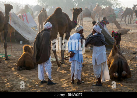 Raika Hirten und ihre Kamele in Pushkar Camel Fair in Rajasthan, Indien Stockfoto