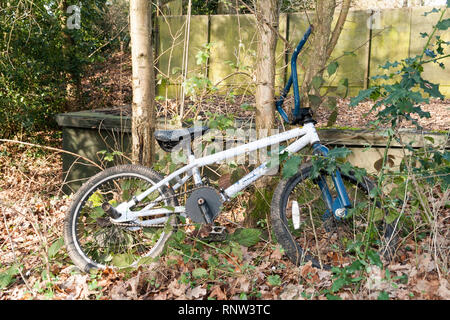 Geparkt Fahrrad in der freien Natur reifen bars Räder Sitz aus Metall Stockfoto