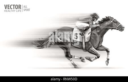 Jockey auf Racing Pferd. Champion. Das hippodrom. Rennstrecke. Reiten. Vector Illustration. Derby. Geschwindigkeit. Verschwommene Bewegung. Auf weiß Isoliert Stock Vektor