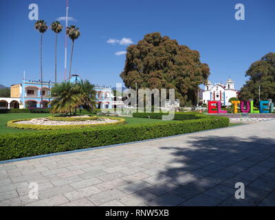 SANTA MARIA DEL TULE, NORDAMERIKA MEXIKO IM FEBRUAR 2018: Wunderbare Hauptplatz mit Rathaus und Cypress Tree mit Stoutest trunk in Stadt in Oaxa Stockfoto