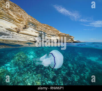 Coastal Cliff mit Quallen, Unterwasser, Mittelmeer, Spanien, Almeria, Andalusien, Cabo de Gata Nijar Natural Park, geteilte Ansicht Stockfoto