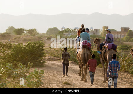 Kameltrekking in Pushkar, Indien Stockfoto