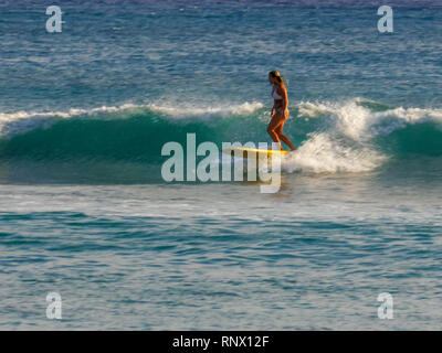 WAIKIKI, VEREINIGTE STAATEN VON AMERIKA - 9. AUGUST 2015: eine Frau reitet ein LONGBOARD am Waikiki Beach Stockfoto