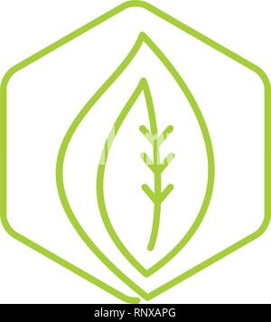 Leaf Logo Design Vector Template isoliert Stock Vektor