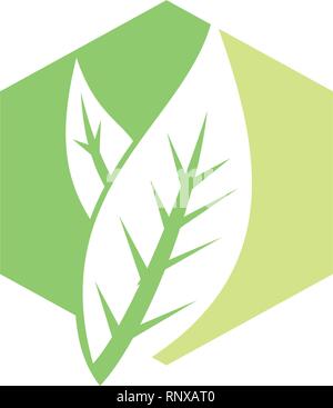 Leaf Logo Design Vector Template isoliert Stock Vektor