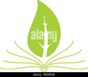 Leaf Logo Design Vector Template isoliert Stock Vektor