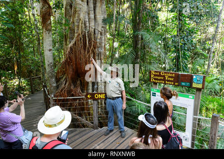 Ein Park Ranger zeigt Bäume zu chinesischen Touristen in die World Heritage Barron Gorge National Park Cairns, Far North Queensland, FNQ, QLD, Australien Stockfoto