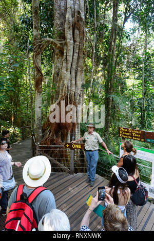 Ein Park Ranger zeigt Bäume zu chinesischen Touristen in die World Heritage Barron Gorge National Park Cairns, Far North Queensland, FNQ, QLD, Australien Stockfoto