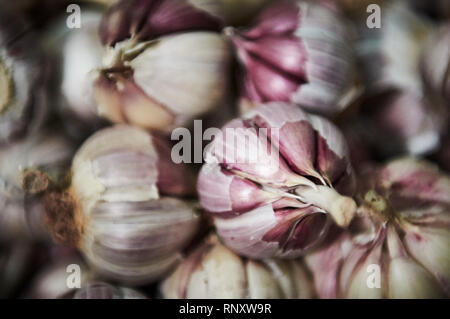 Ein Haufen von frischen organischen lila Knoblauch Zwiebeln für den Verkauf in einem souq in der Medina von Marrakesch. Stockfoto