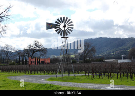 Die Weinberge des Napa Valley in Kalifornien an einem schönen Wintertag nach der Regenzeit aus der Region heraus gerollt sind. Stockfoto