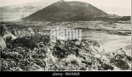 . Amerikanische Forstwirtschaft. Die Wälder und die Forstwirtschaft. Erloschene Vulkane IM NORDOSTEN NEW MEXICO 359. CAPULIN BERG, eine AUSGESTORBENE VOI. CANO der neueren Ursprungs, in der Nähe von Folsom, N.M., WIE AUS GESEHEN OBEN AUF EINEM BENACHBARTEN vulkanischen Gipfel fünf Meilen entfernt. Der Schlackenkegel ragt fast 1.500 Meter über der Ebene. Perioden wird anerkannt, wenn die Region im Detail studiert wird. Drei Sperrfristen sind gut in der Schlucht des Trockenen Cimarron, wo der Rand des Canyon besteht aus Lava, die zu einem der alten Blätter dargestellt. Diese Blatt wurde abgetragen und die Schlucht Schnitt unten fast zu seiner heutigen Tiefe wenn ein Rood Stockfoto