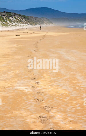 Wandern auf Prion Strand entlang der South Coast Track Stockfoto