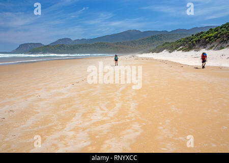 Wandern auf Prion Strand entlang der South Coast Track Stockfoto