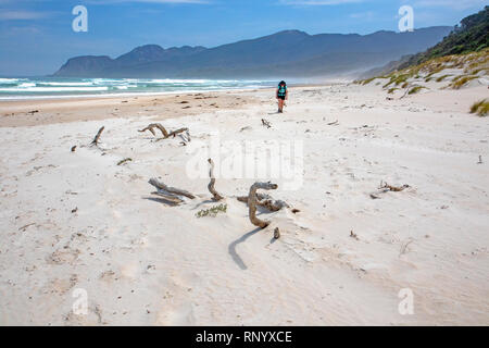 Wandern auf Prion Strand entlang der South Coast Track Stockfoto