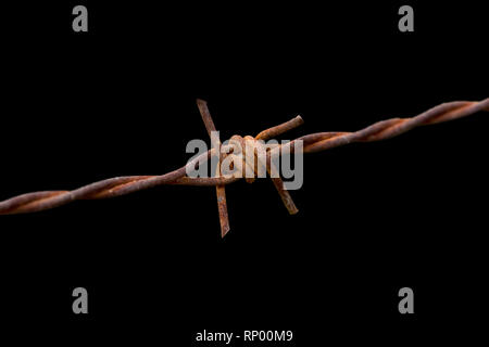 Stacheldraht rost Makro auf schwarzem Hintergrund Stockfoto