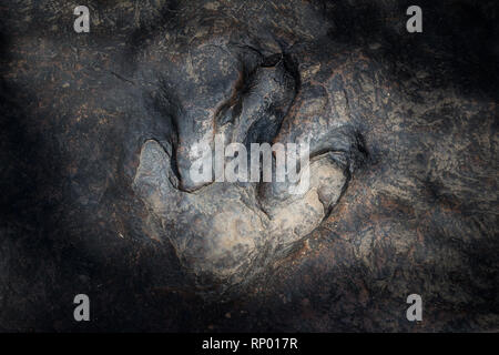 Echten dinosaur Footprint, Thailand. Stockfoto