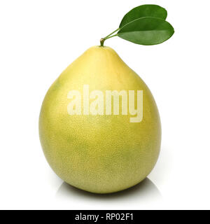 Frische pomelo Früchte auf weißem Hintergrund Stockfoto