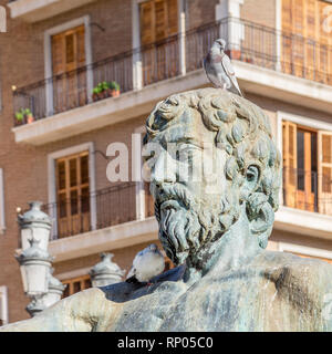 Taube auf den Kopf des Mannes Skulptur des historischen Brunnen, die die Turia Fluss an der Plaza de la Virgen in Valencia, Spanien. Stockfoto