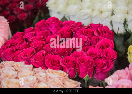 Große Blumensträuße Rosen in verschiedenen Farben Stockfoto