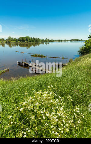 Die kleine Eider an einem schönen Sommertag, Eider-Treene-Sorge-Niederung oder Tiefland, Kleve, Dithmarschen, Schleswig-Holstein, Deutschland Stockfoto