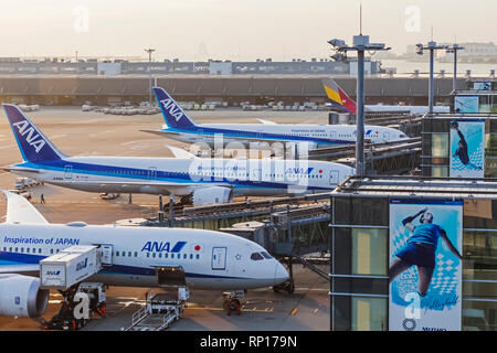 Japan, Honshu, Tokyo, Haneda Airport, All Nippon Airways aka ANA Flugzeuge Parken am Flughafen Rampen Stockfoto