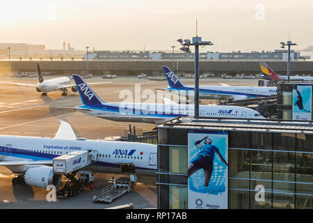 Japan, Honshu, Tokyo, Haneda Airport, All Nippon Airways aka ANA Flugzeuge Parken am Flughafen Rampen Stockfoto