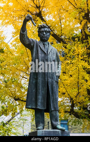 Japan, Honshu, Tokio, Hibiya, Ueno Park, Statue der Hideyo Noguchi (1876-1928) Stockfoto