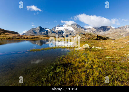 Piz Cambrena gespiegelt in der alpinen See, Val Dal Bugliet, Berninapass, Kanton Graubünden, Engadin, Schweiz Stockfoto