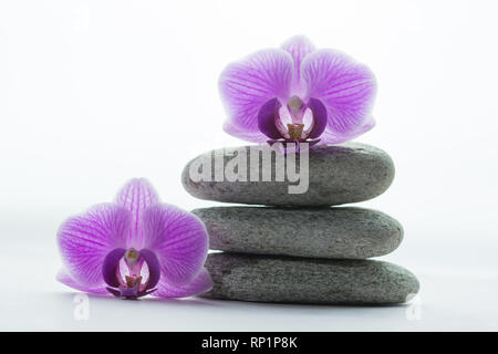 Stapel von drei grauen roundstones mit einer Orchideen blühen auf und neben dem Stockfoto