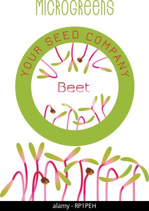 Microgreens Zuckerrüben. Saatgut Verpackungsdesign, rundes Element in der Mitte. Keime von Samen einer Pflanze. Vitamin Supplement, veganes Essen Stock Vektor