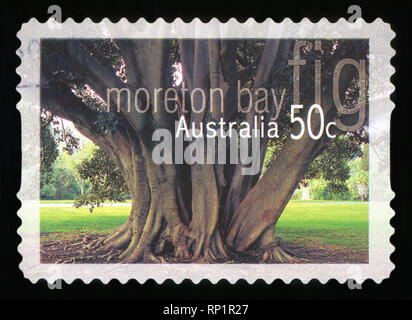 Australien - ca. 2005: einen Stempel in Australien gedruckten zeigt die Moreton Bay Bild, ca. 2005 Stockfoto