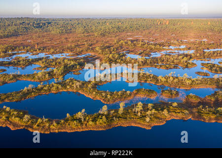 Luftaufnahme von Mannikjarve bog Pools und Inselchen in Endla Naturschutzgebiet, Jogevamaa County, Estland Stockfoto