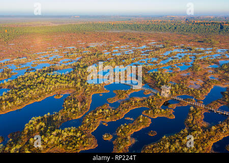 Luftaufnahme von Mannikjarve bog Pools und Inselchen in Endla Naturschutzgebiet, Jogevamaa County, Estland Stockfoto