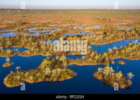 Luftaufnahme von Mannikjarve bog Pools und Inselchen in Endla Naturschutzgebiet, Jogevamaa County, Estland Stockfoto