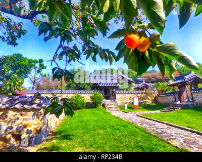 Alte traditionelle koreanische Haus Hamokjeong Pavillon, Gyeongsangbukdo Dalseonggun, Daegu, Südkorea, Aisa Stockfoto