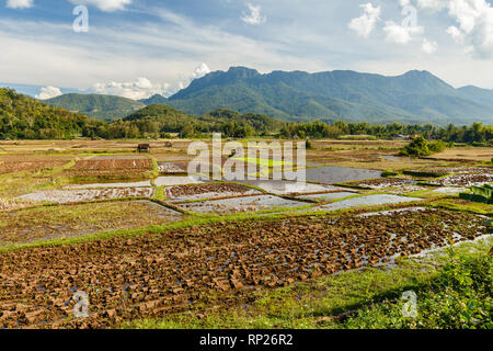 Landschaft der Reisfelder in Südostasien nach der Erntezeit. Laos Stockfoto