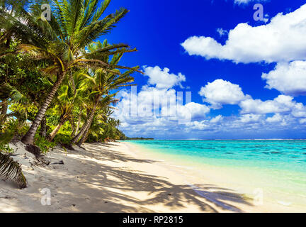 Blick auf den Sandstrand, Cook Inseln, Südpazifik. Kopieren Sie Platz für Text Stockfoto