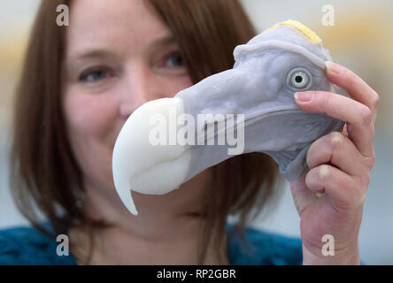 Frankfurt am Main, Deutschland. 20 Feb, 2019. Hildegard Enting, zoologische Präparator, zeigt in der Werkstatt des Senckenberg Museum der Kopf einer Dodo von ihr aus Kunststoff modelliert. Der Dodo, auch Dronte genannt, war ein flugunfähiger Vogel, die sich ausschließlich auf Mauritius lebte und seit 1700 als ausgestorben betrachtet wurden. Foto: Boris Roessler/dpa Quelle: dpa Picture alliance/Alamy leben Nachrichten Stockfoto