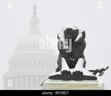 Washington, USA. 20 Feb, 2019. Das Kapitol ist im Schnee in Washington, DC, USA gesehen, am 13.02.20., 2019. Quelle: Liu Jie/Xinhua/Alamy leben Nachrichten Stockfoto