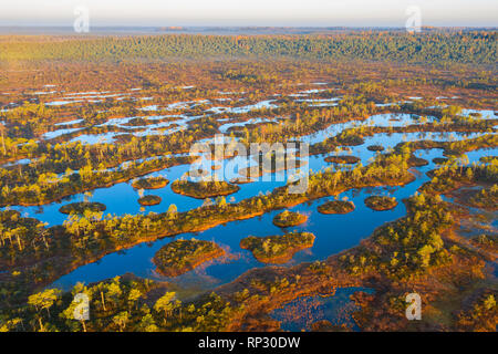 Luftaufnahme von Mannikjarve bog Pools und Inselchen in Endla Naturschutzgebiet, Jogevamaa County, Estland Stockfoto