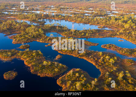 Luftaufnahme von Mannikjarve bog Pools und Inselchen in Endla Naturschutzgebiet, Jogevamaa County, Estland Stockfoto