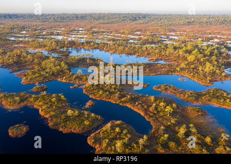 Luftaufnahme von Mannikjarve bog Pools und Inselchen in Endla Naturschutzgebiet, Jogevamaa County, Estland Stockfoto