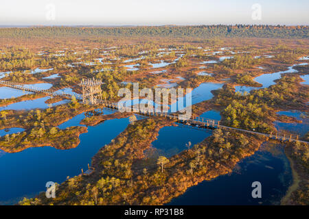 Luftaufnahme von Mannikjarve bog Pools und Inselchen in Endla Naturschutzgebiet, Jogevamaa County, Estland Stockfoto